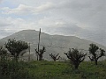R0010393