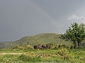 R0010394