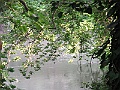 R0010404