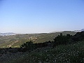 R0010411
