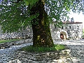 R0010421