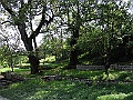 R0010424
