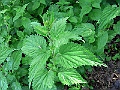 R0010426