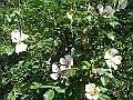 R0010427