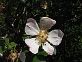 R0010428