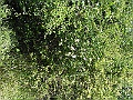 R0010430