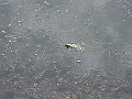 R0010435