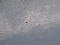 R0010436