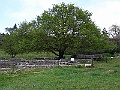 R0010448