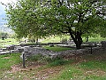 R0010450