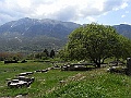 R0010454