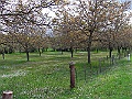 R0010461