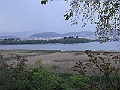 R0010469