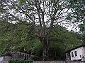 R0010472