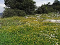 R0010496