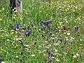 R0010497