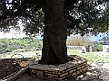 R0010506