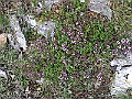 R0010509
