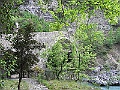 R0010529