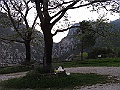 R0010546