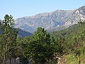 R0010555