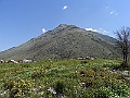 R0010565