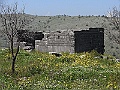 R0010566