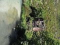 R0010588