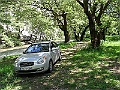 R0010593