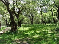 R0010594