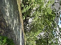 R0010596