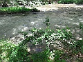 R0010597