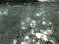 R0010598