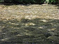 R0010599