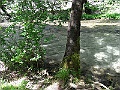 R0010600