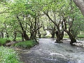 R0010602