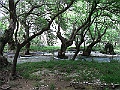 R0010603