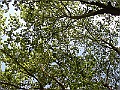 R0010604