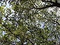 R0010605