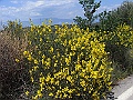 R0010620