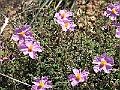 R0010622