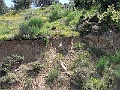 R0010623