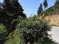 R0010624
