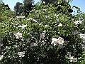 R0010625