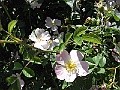 R0010627