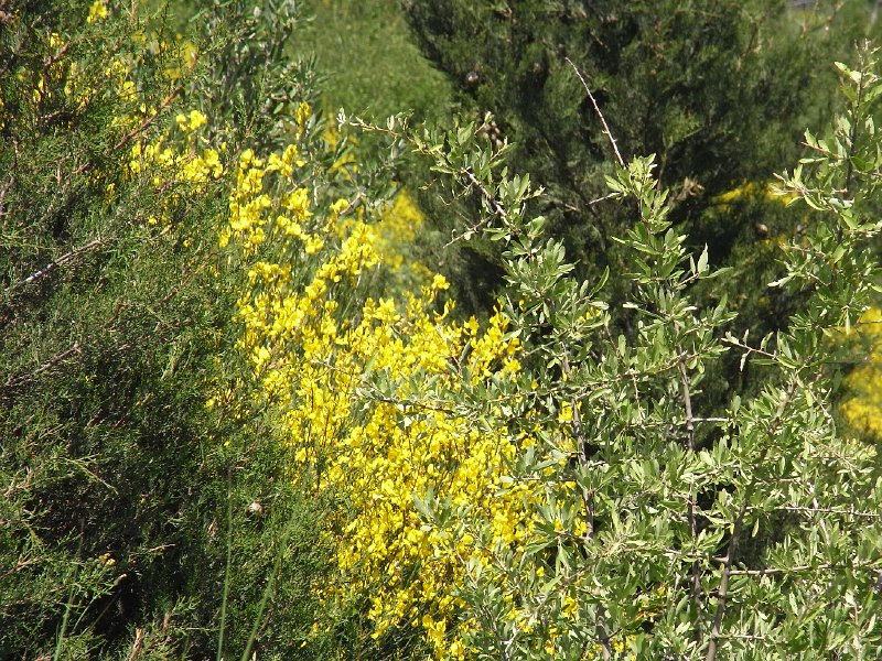 R0011449.JPG - Day 4: Broom