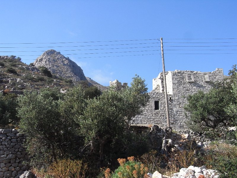 R0011524.JPG