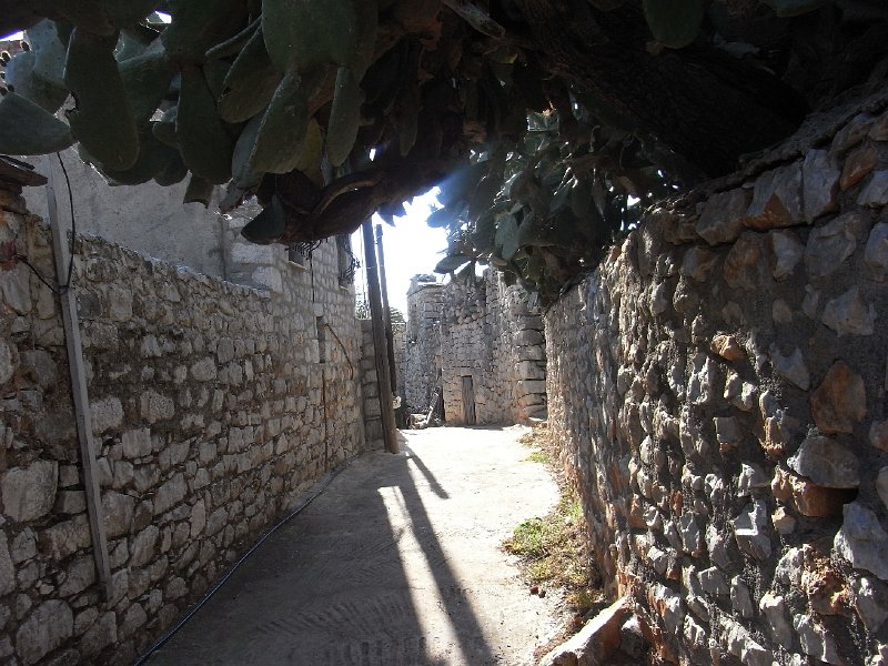 R0011530.JPG