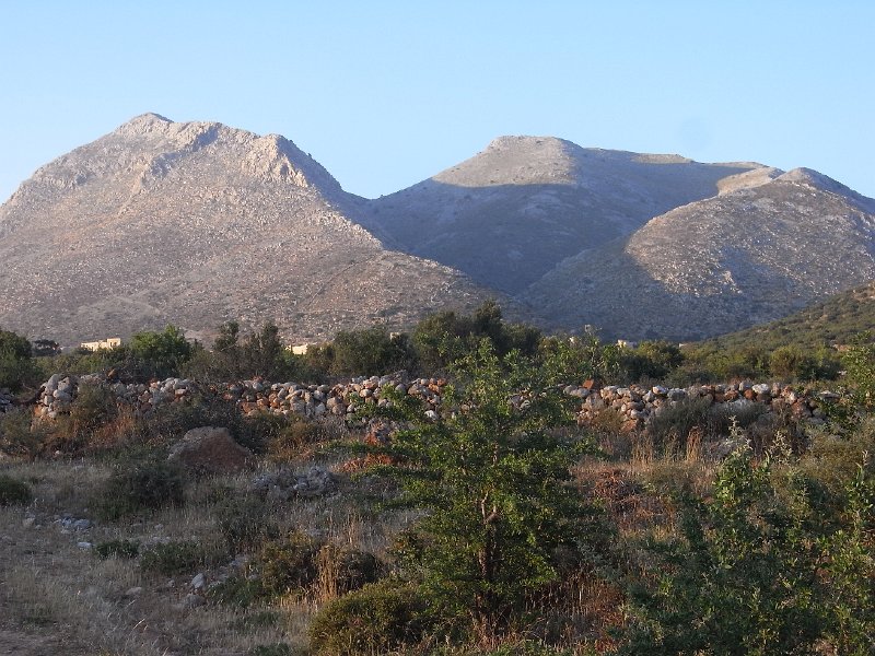 R0011539.JPG