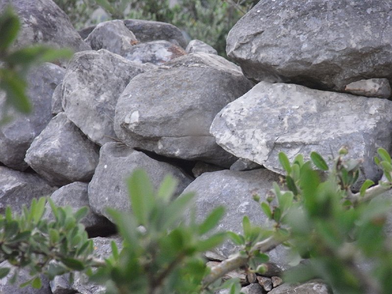 R0011549.JPG